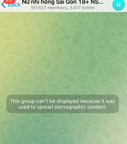 his group can't be displayed because it was used to spread pornographics content