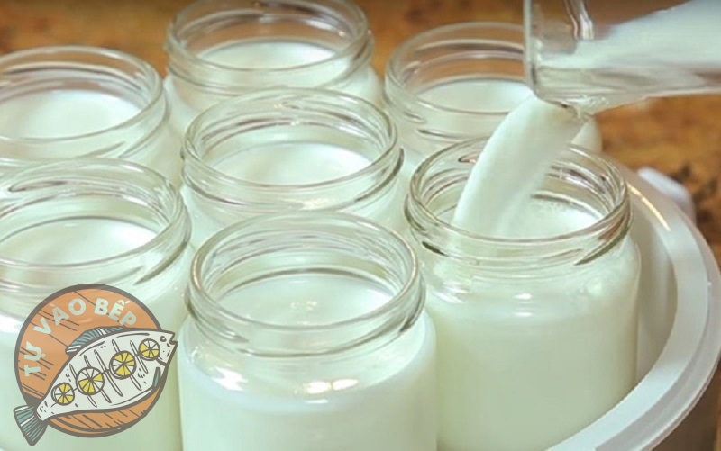 Rót hỗn hợp sữa vào hũ đựng sữa chua