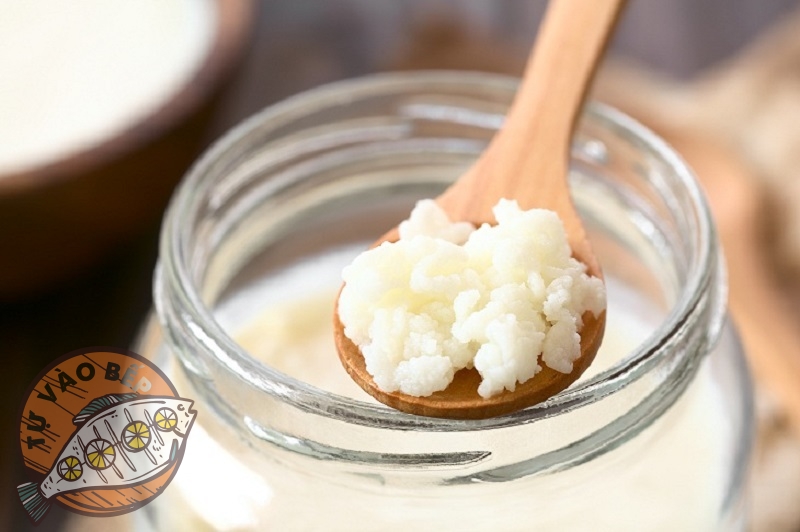 Cho nấm Kefir vào sữa tươi